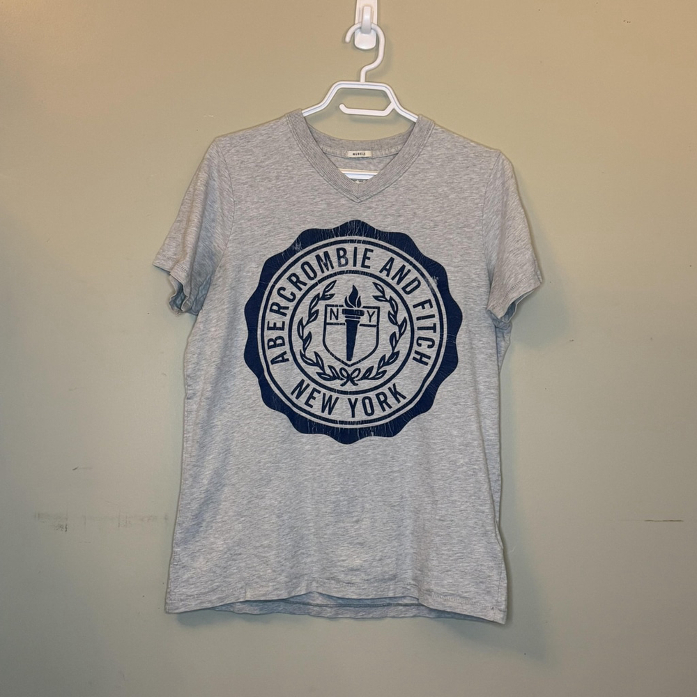Abercrombie & Fitch Mens Gray Graphic V-Neck XL